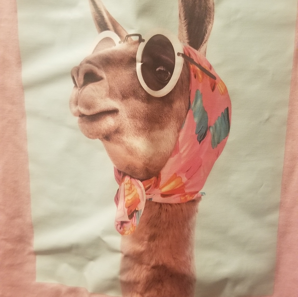 100% Cotton  - 2 Designer Tshirts